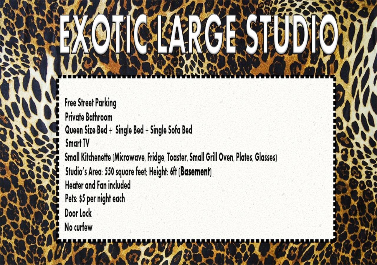 فندق مونتريالفي  Exotic Large Basement Studio المظهر الخارجي الصورة